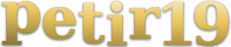 petir19 logo